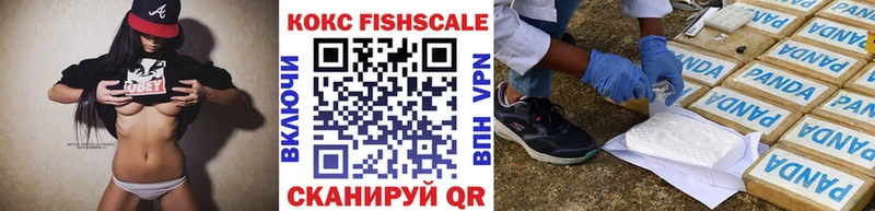 Cocaine Fish Scale  Купить закладки  Светлоград 