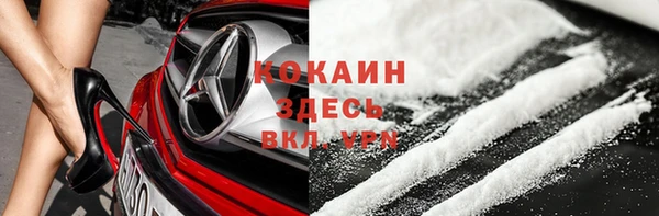 ГАЛЛЮЦИНОГЕННЫЕ ГРИБЫ Елабуга