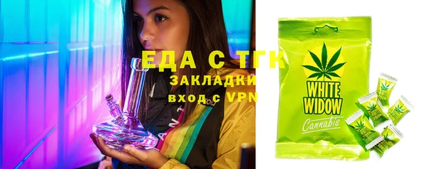 дмт Ельня
