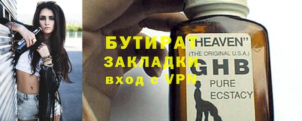 дмт Ельня