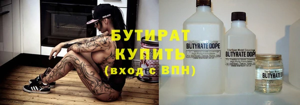 дмт Ельня