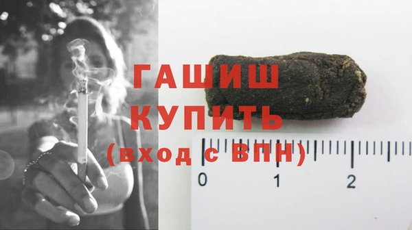 дмт Ельня