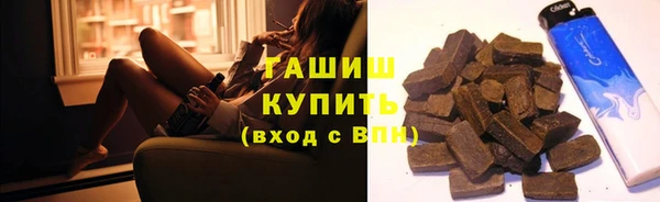 дмт Ельня
