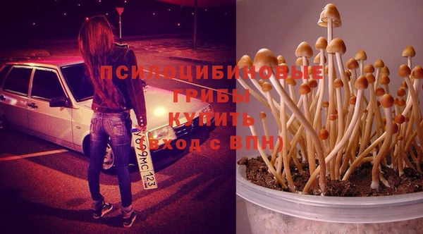 альфа пвп Елизово