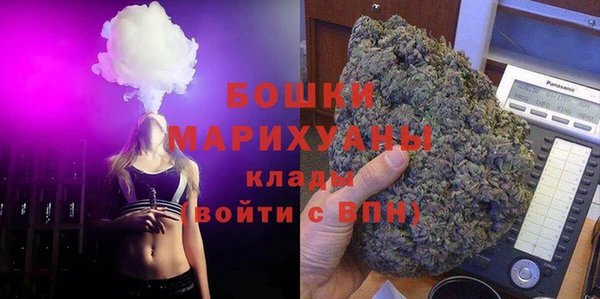 дмт Ельня