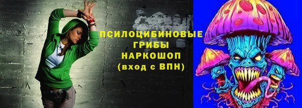 ГАЛЛЮЦИНОГЕННЫЕ ГРИБЫ Елабуга