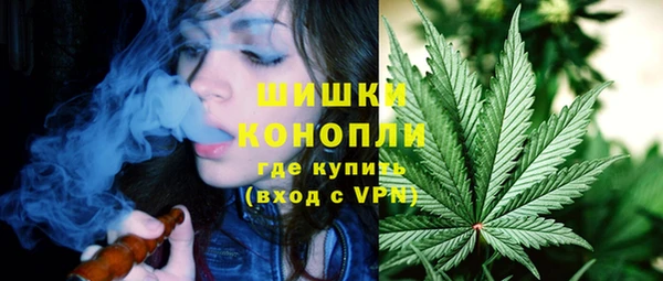 альфа пвп Елизово