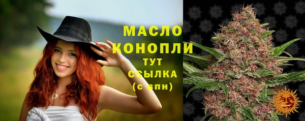дмт Ельня