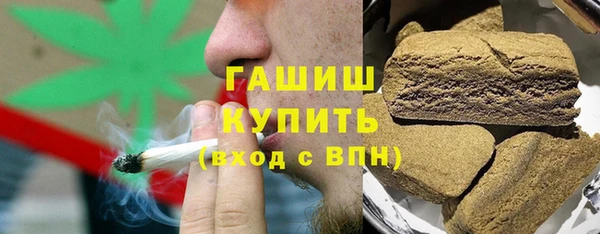 дмт Ельня