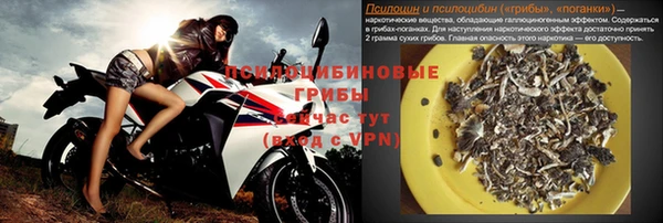 альфа пвп Елизово