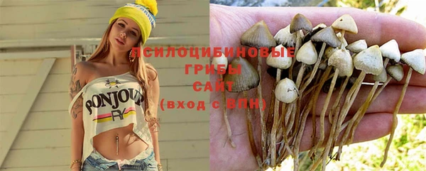 дмт Ельня