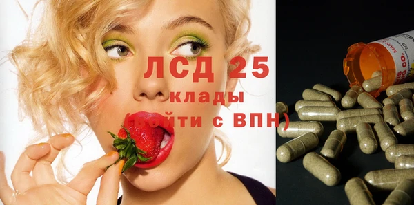 ГАЛЛЮЦИНОГЕННЫЕ ГРИБЫ Елабуга
