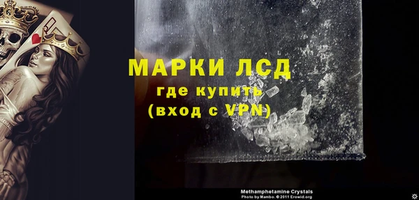 ГАЛЛЮЦИНОГЕННЫЕ ГРИБЫ Елабуга