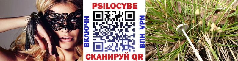 Галлюциногенные грибы Psilocybe Светлоград
