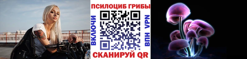 Галлюциногенные грибы Cubensis  Купить  Светлоград 